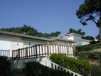 DSCN7888