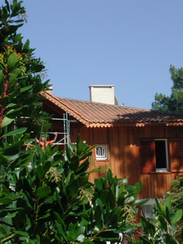 DSCN9019