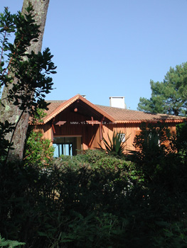 DSCN9041