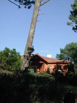 DSCN9044