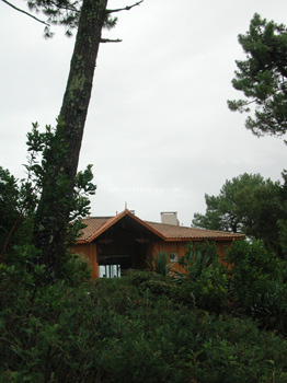 DSCN9192